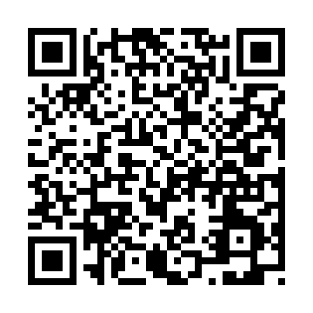 QR code for N163H