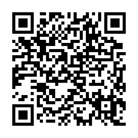 QR code for N163Z