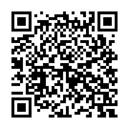 QR code for N17 1VS