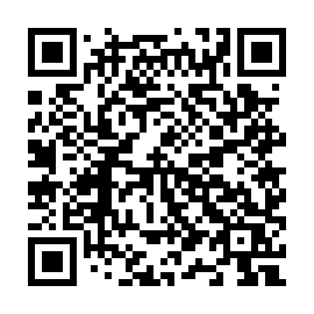 QR code for plate N17 0XS