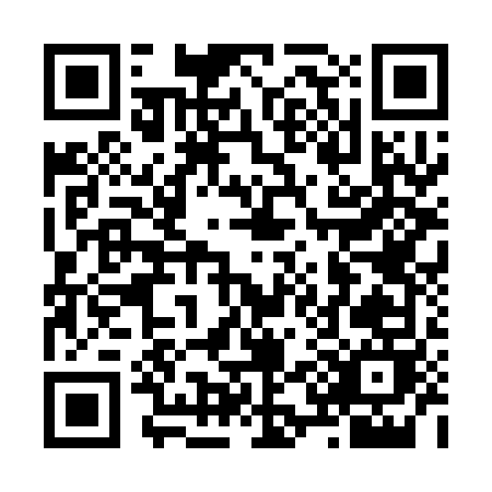 QR code for N173D