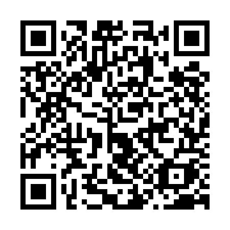QR code for plate N17 5OI