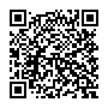 QR code for plate N17 8XF