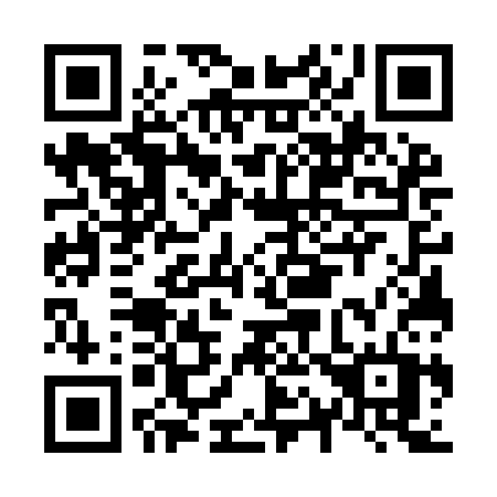 QR code for plate N17 9CT