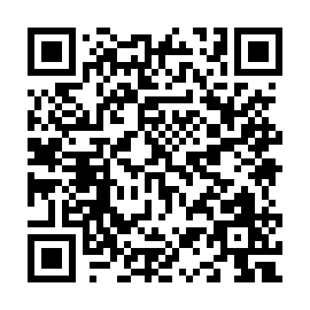QR code for N194Q