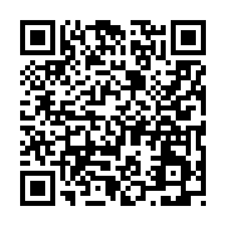 QR code for N196V