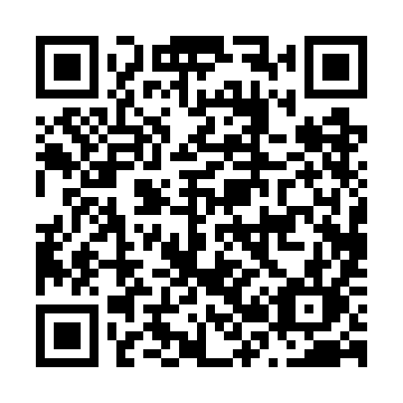 QR code for N207IL