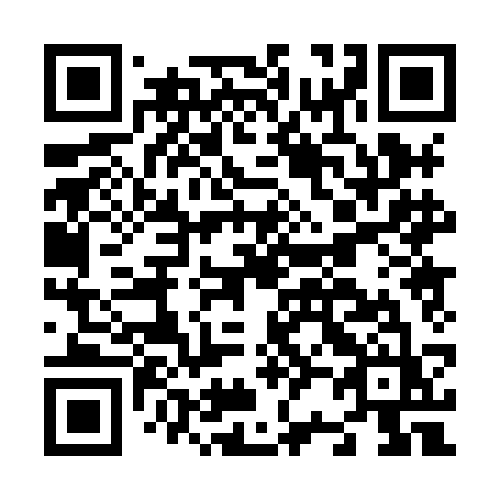 QR code for N208CZ