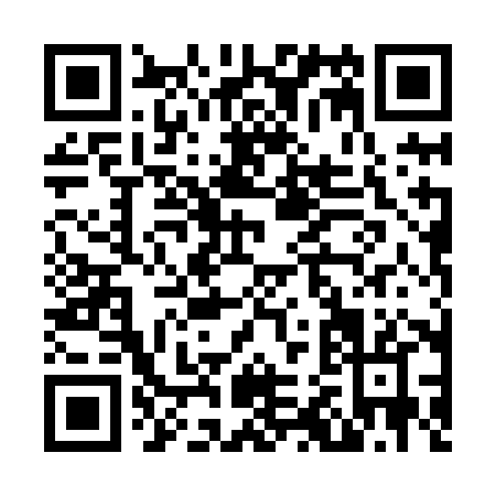 QR code for N208H