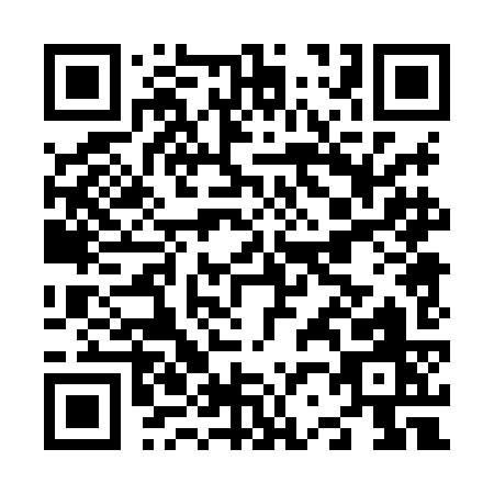 QR code for N208K