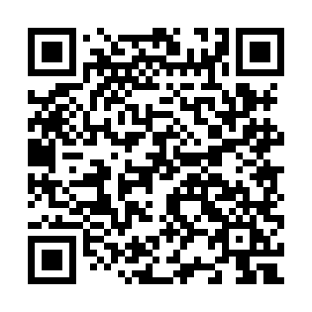 QR code for N208LI