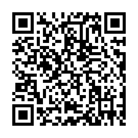 QR code for N208R