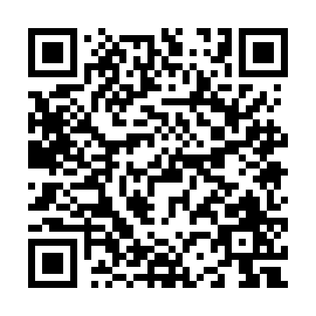 QR code for N216J