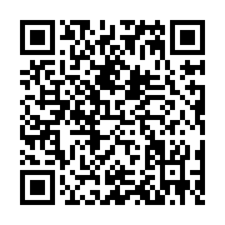 QR code for N219C