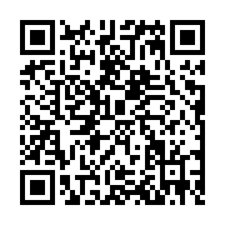 QR code for N220T