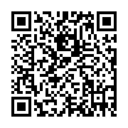 QR code for N221E