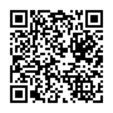 QR code for N223HW