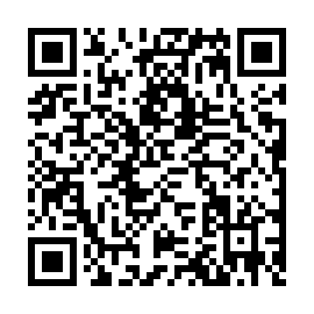 QR code for N225P