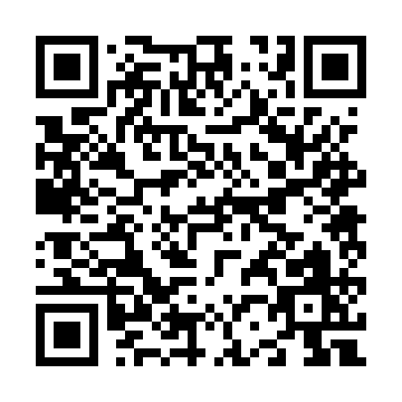 QR code for N225Q