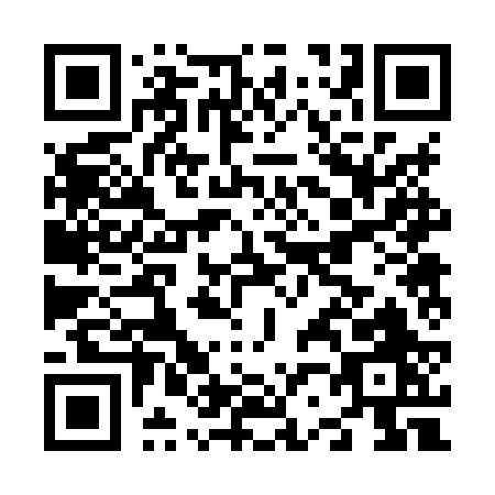 QR code for N228R