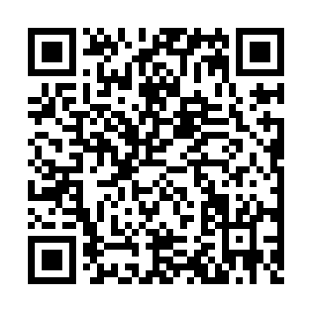 QR code for N229A