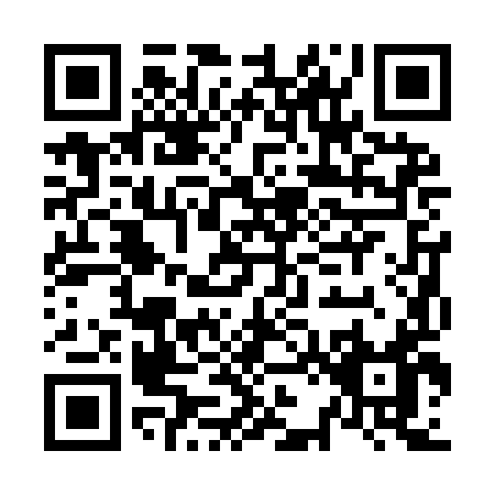 QR code for N229I