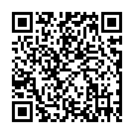QR code for N229V