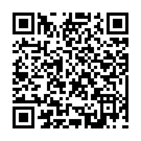 QR code for N229X