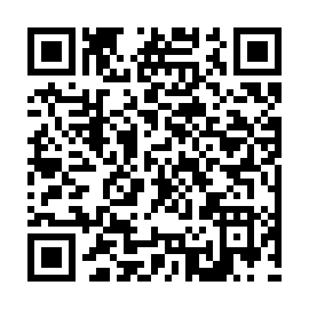 QR code for N233L