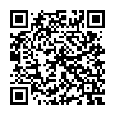 QR code for N236MX