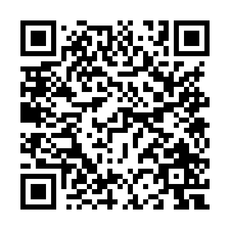 QR code for N238P