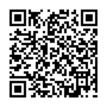 QR code for N266K
