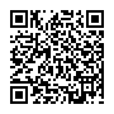 QR code for N272Q