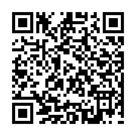 QR code for N273I
