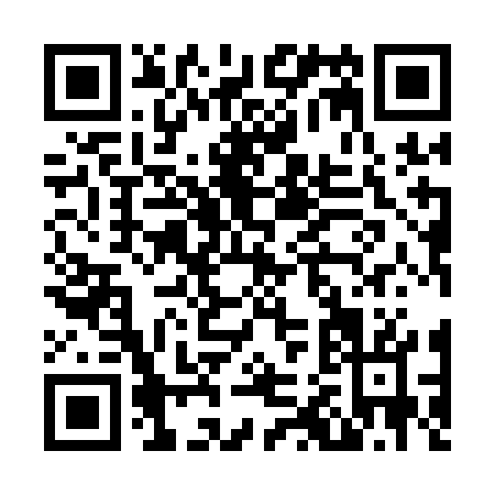 QR code for N291G