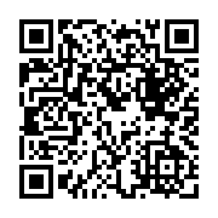 QR code for N293M