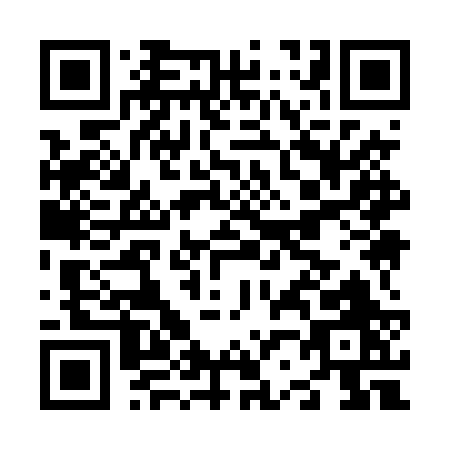 QR code for N294R