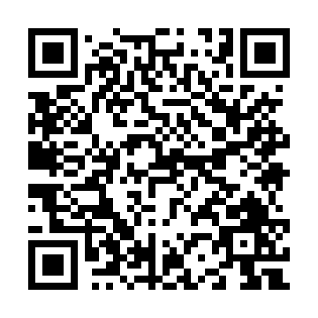 QR code for N294V