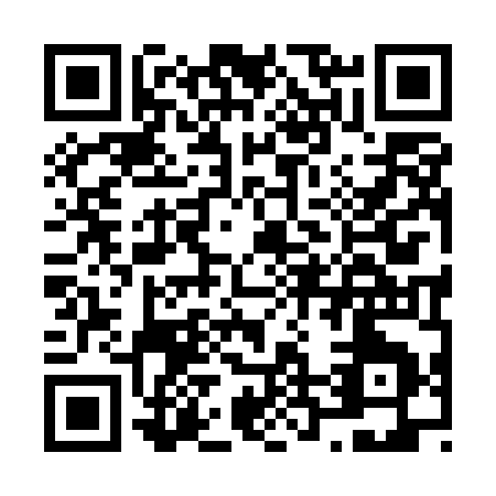 QR code for N295K