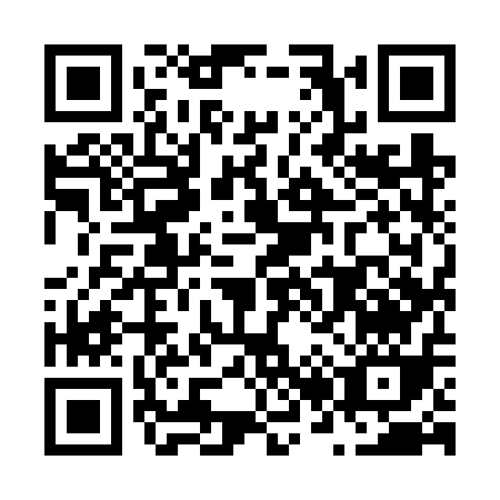 QR code for N296Q