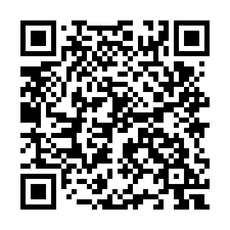 QR code for N296QG