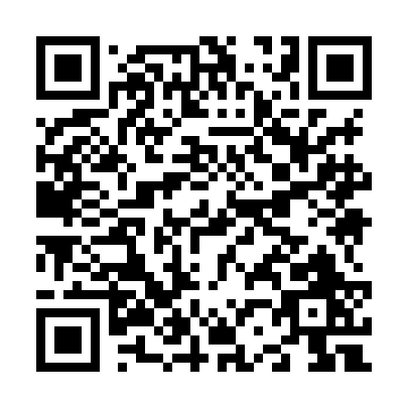 QR code for N298B