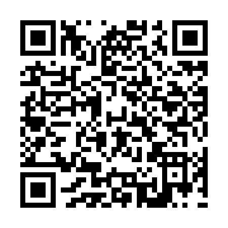QR code for N299L