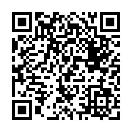 QR code for N303T