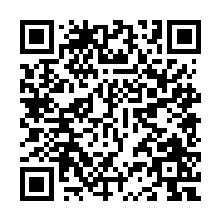 QR code for N306J