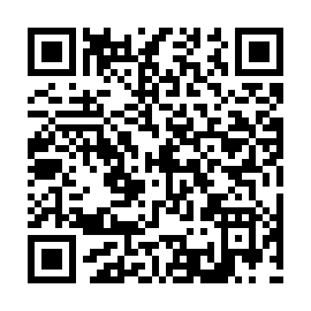 QR code for N307X