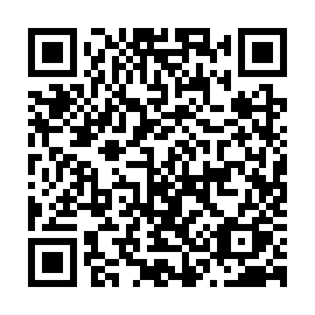 QR code for N313ZQ