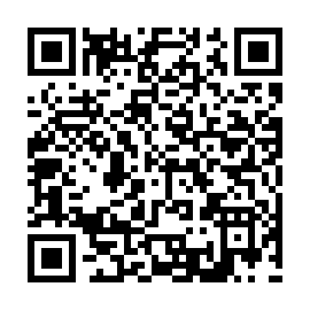 QR code for N315P