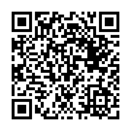 QR code for N316Q