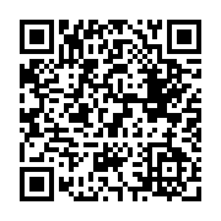 QR code for N316U